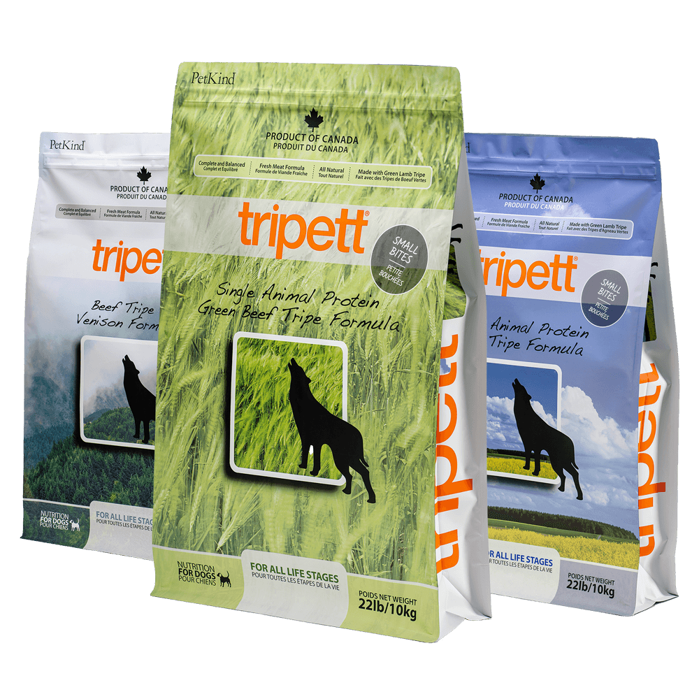 Healthy Dog Food